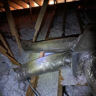 Insulation Ruined by Bats