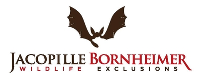 Brighton Wildlife Removal